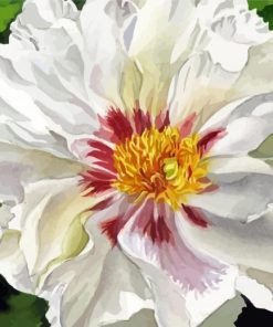 Aesthetic White Peony Diamond Painting