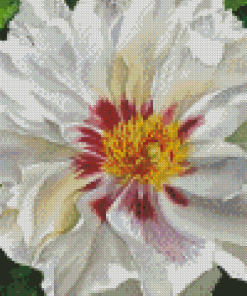 Aesthetic White Peony Diamond Painting