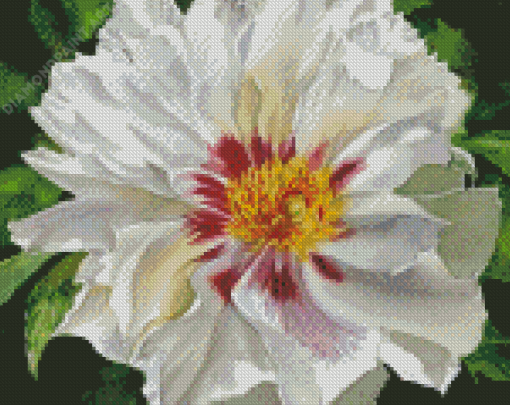 Aesthetic White Peony Diamond Painting