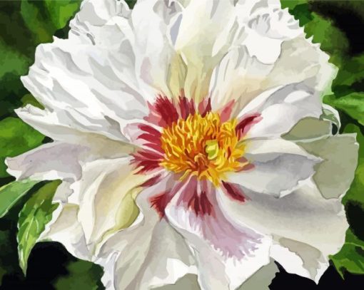 Aesthetic White Peony Diamond Painting