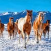 Aesthetic Winter Horses Diamond Painting