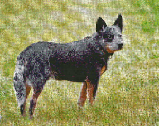 Aesthetic Blue Cattle Dog Diamond Painting