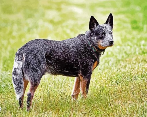 Aesthetic Blue Cattle Dog Diamond Painting