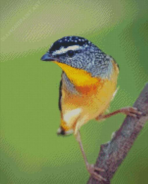 Aesthetic Pardalote Illustration Diamond Painting