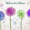 Allium Art Diamond Painting