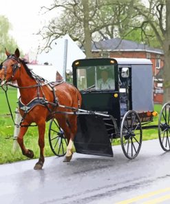 Amish Buggy Diamond Painting