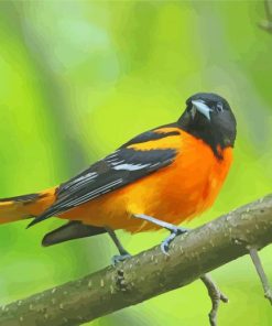 Baltimore Oriole On Stick Diamond Painting