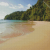 Beach In Trinidad And Tobago Diamond Painting