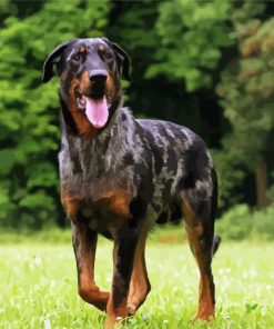 Beauceron Dog Diamond Painting