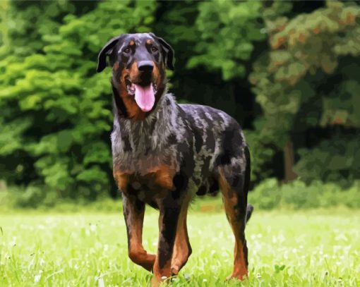 Beauceron Dog Diamond Painting