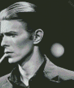 Black And White Thin White Duke Diamond Painting