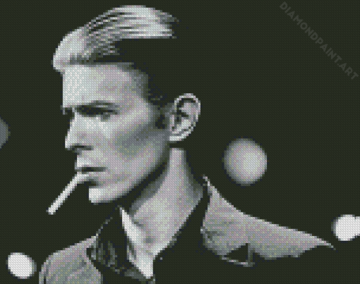 Black And White Thin White Duke Diamond Painting