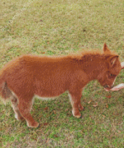 Brown Fluffy Mini Donkey Diamond Painting