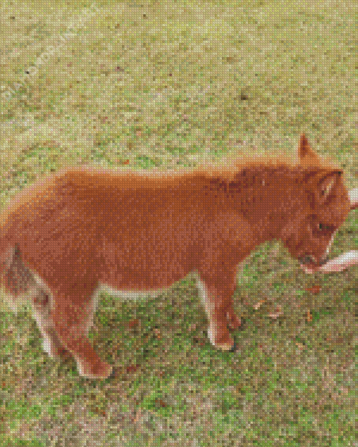 Brown Fluffy Mini Donkey Diamond Painting