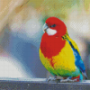 Eastern Rosella Diamond Painting