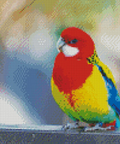 Eastern Rosella Diamond Painting