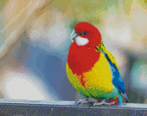 Eastern Rosella Diamond Painting