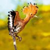 Flying Hoopoe Bird Diamond Painting