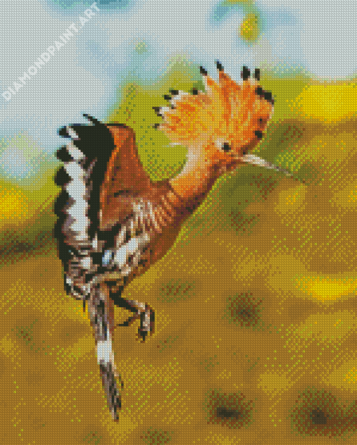 Flying Hoopoe Bird Diamond Painting