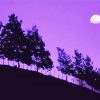 Moon Purple Night Diamond Painting