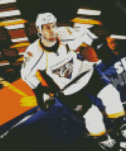 Nashville Predators Player Diamond Painting