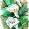 Peace Lily Arts Diamond Painting