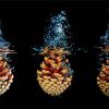 Pinecone In Water Diamond Painting