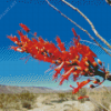 Red Ocotillo Cactus Plant Diamond Painting