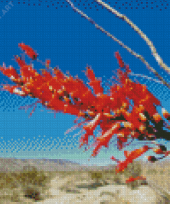 Red Ocotillo Cactus Plant Diamond Painting