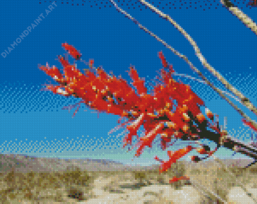 Red Ocotillo Cactus Plant Diamond Painting