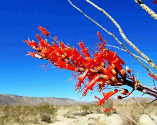 Red Ocotillo Cactus Plant Diamond Painting