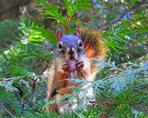 Squirrel With Pinecone Diamond Painting