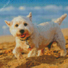 West Highland White Terrier Dog On The Beach Diamond Painting