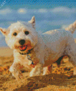 West Highland White Terrier Dog On The Beach Diamond Painting