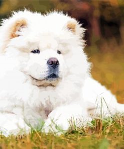 White Chow Chow Diamond Painting