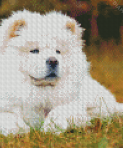 White Chow Chow Diamond Painting