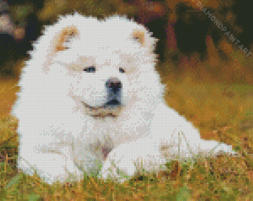 White Chow Chow Diamond Painting