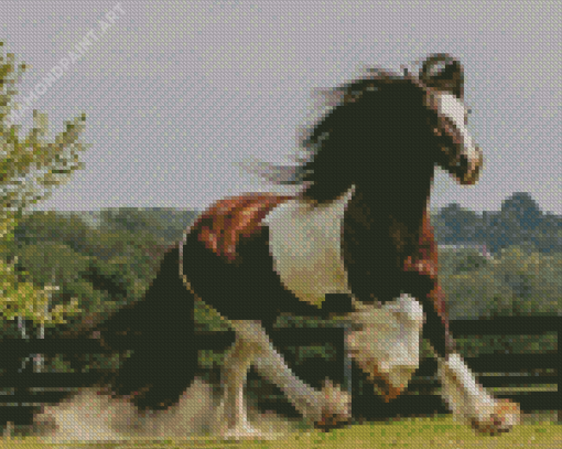 White And Brown Cob Horse Diamond Painting