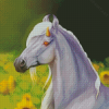 White Horse With Sunflowers Diamond Painting