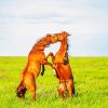 Wild Fighting Horses Diamond Painting