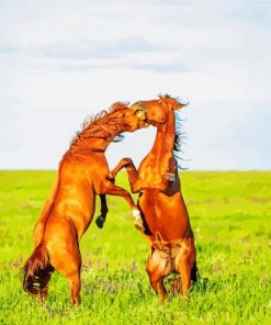 Wild Fighting Horses Diamond Painting