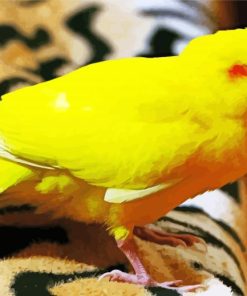 Yellow Kakariki Bird Diamond Painting