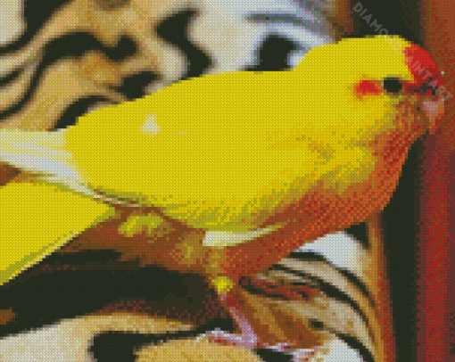 Yellow Kakariki Bird Diamond Painting