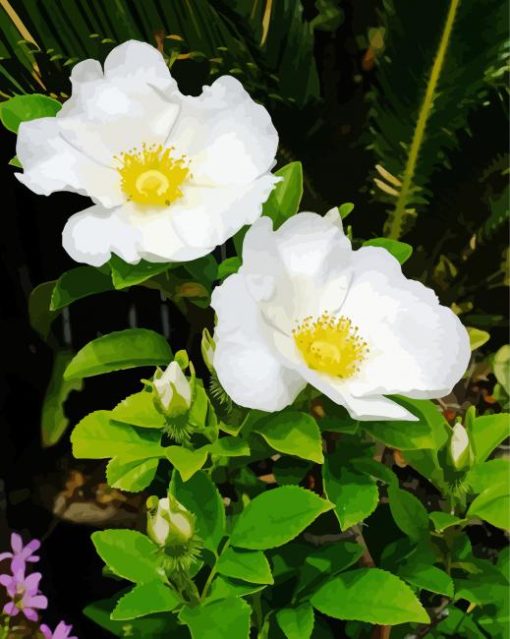 Yellow White Cherokee Rose Diamond Painting