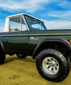 1977 Bronco Four Wheel Drive Car Diamond Painting