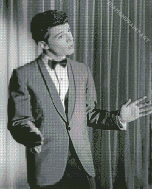 Actor Frankie Avalon Diamond Painting