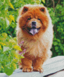 Aesthetic Chow Chow Dog Diamond Painting