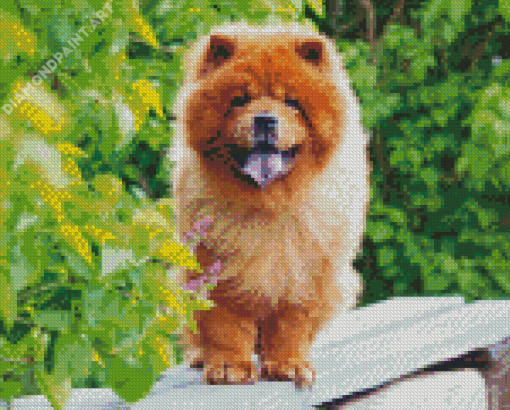 Aesthetic Chow Chow Dog Diamond Painting