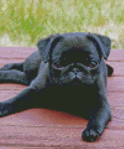 Aesthetic Pug Puppy Diamond Paintings