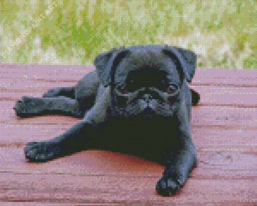 Aesthetic Pug Puppy Diamond Paintings